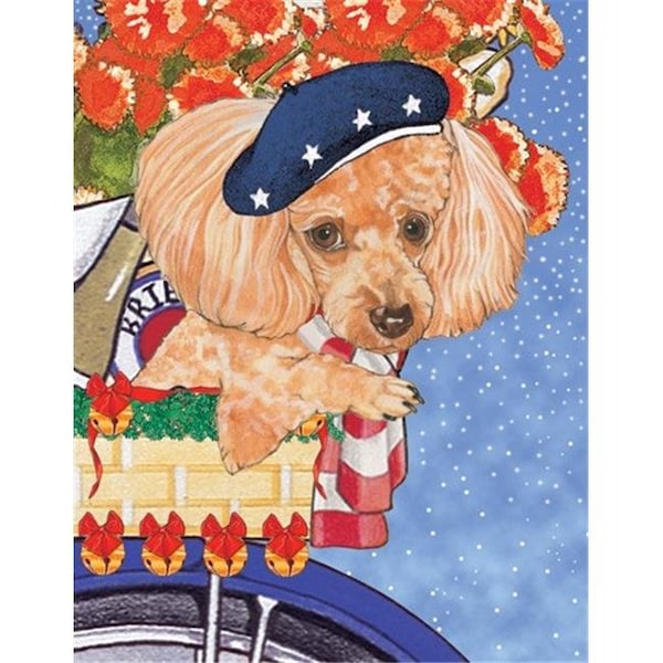 Pipsqueak Productions Pipsqueak Productions C884 Holiday Boxed Cards- Poodles Toy Apricot C884 - main
